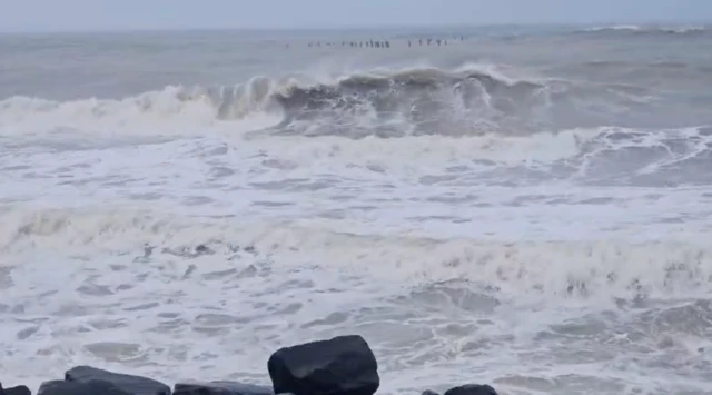 திட்வா புயல், தமிழ்நாடு