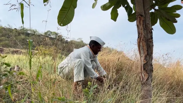 Yavatmal Farmers Suicide : 'पांढरं सोनं' पिकवणारे शेतकरी आत्महत्येच्या  विळख्यातून सुटत का नाहीत? - BBC News मराठी