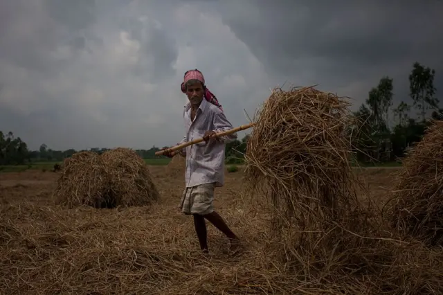 এবার ৩২ টাকা কেজি দরে পাঁচ লাখ টন বোরো ধান কেনার কথা জানিয়েছেন খাদ্যমন্ত্রী। 