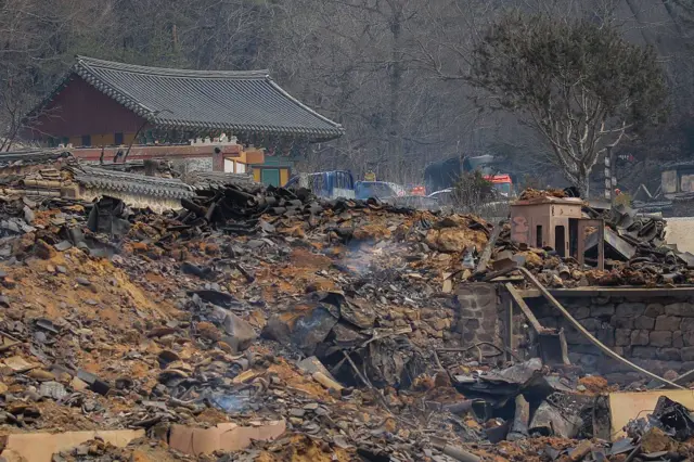 दक्षिण कोरियात वणव्याचा हाहाकार