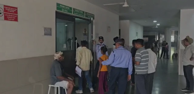 બીબીસી ગુજરાતી મધમાખી દાહોદ હુમલો ડંખ