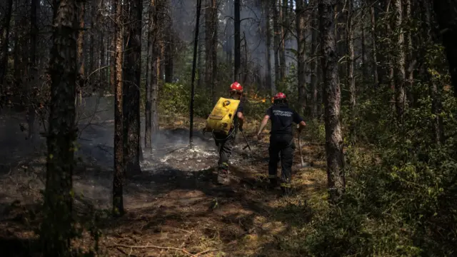 vatrogasci u Delibaltskoj peščari 
