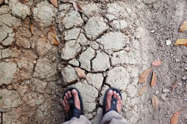 Kekeringan, musim panas