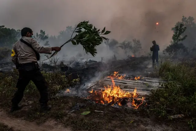 Seorang polisi menggunakan cabang untuk memadamkan api di lahan gambut dan ladang yang terbakar pada 14 September 2019 di pinggiran Palangkaraya, Kalimantan Tengah, Indonesia.