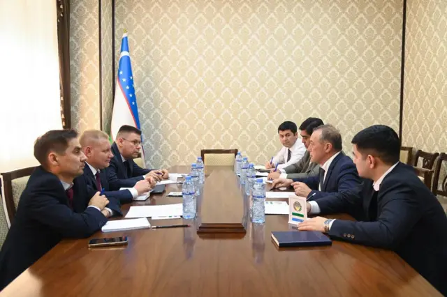 Mening mushuk uchun off jerking video