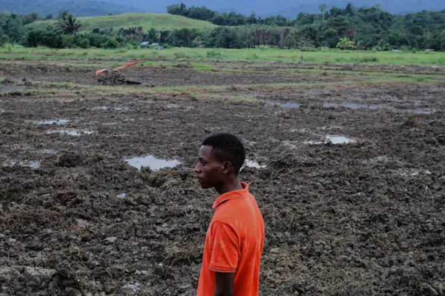 Seorang petani di Papua berdiri di depan lahannya yang akan disiapkan sebagia kebun jagung di Jayapura, Papua, pada Maret 2023.