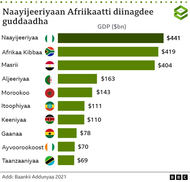 Diinagdee guddaa afriikaa
