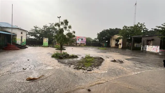 बीडच्या पालवण गावात साचलेले पाणी
