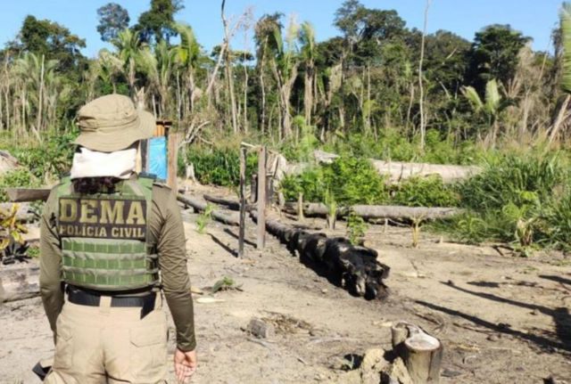 Agente policial de costas perto de área desmatada