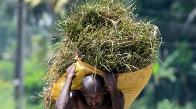 жер семирткичтер