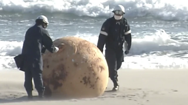 Kürenin görüntüleri