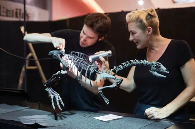 मूळ नॅनोसोरस डायनासोर पाहण्यासाठी प्रा. सुसानाह मेडमेंट अमेरिकेला गेल्या.