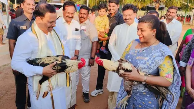 పందెం కోడితో రోజా