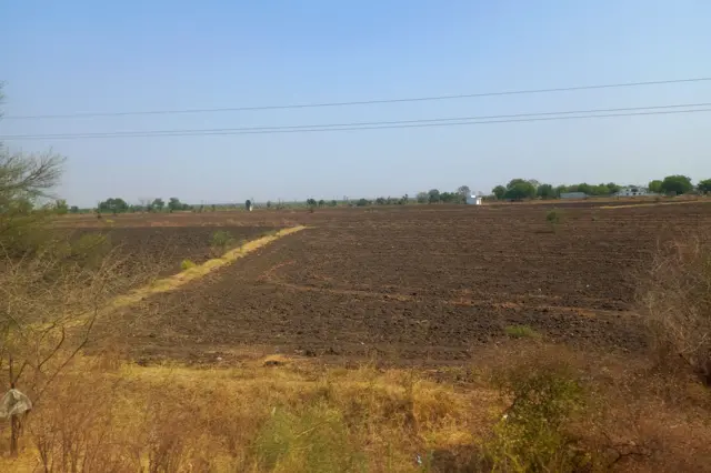 ખેતી, જમીન, સુધારો, ગુજરાત સરકાર, બીબીસી ગુજરાતી, ગુજરાતી, ગુજરાતમાં ખેતી, ખેતની જમીન