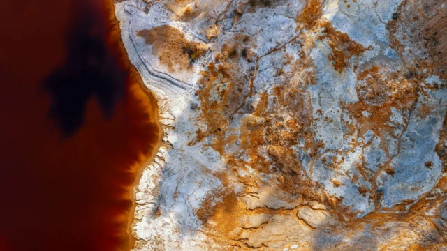 overpopulasi manusia