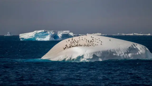 ਵਾਤਾਵਰਨ ਤਬਦੀਲੀ 