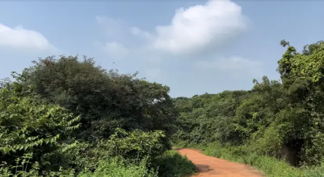 అడవిపై ఆధారపడే స్థానిక గ్రామాల ప్రజలు