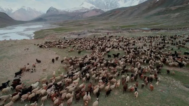 वाख़ी समुदाय की आख़िरी पशुपालक महिलाएं