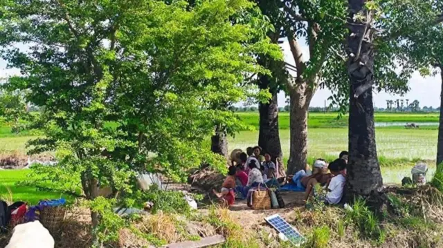 ခင်ဦးမြို့နယ်ထဲက ကျေးရွာတွေမှာ စစ်ကြောင်းထိုးလို့ လယ်ကွင်းထဲရှောင်နေရသူတွေ