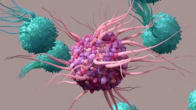 Ілюстративне зображення антитіл імунної системи людини