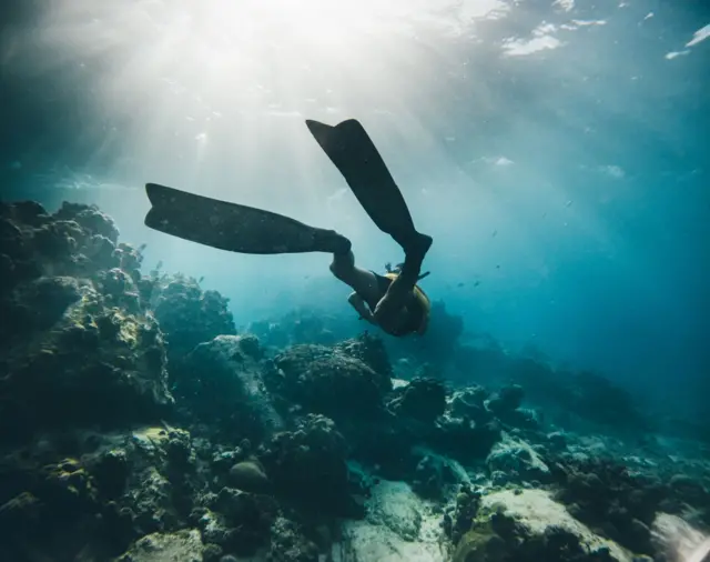 Пірнальник