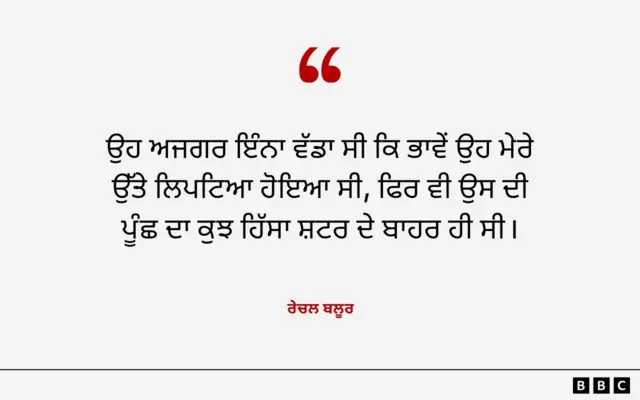 ਰੇਚਲ ਬਲੂਰ