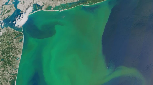 ภาพถ่ายดาวเทียมแสดงให้เห็นน้ำทะเลที่เปลี่ยนเป็นสีเขียวเข้ม