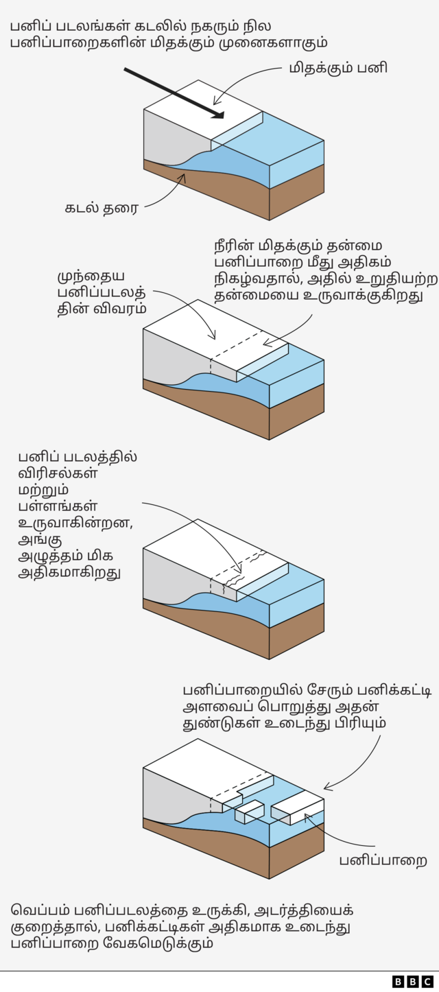 அழியும் நிலையில் சிங்கப்பூரைவிட 29 மடங்கு பெரிய ராட்சத பனிப்பாறை – விளைவு என்ன?