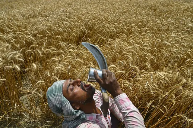 स्थलांतरित मजूर, चंदीगढ, भारत