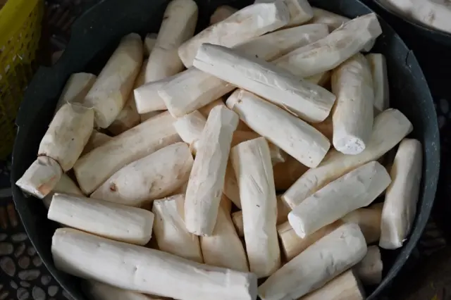 Flora Carita: Singkong