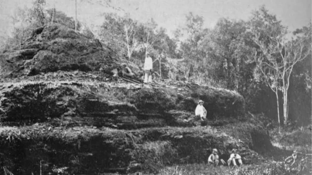 Penggalian Candi Borobudur dilakukan pada abad ke-19. Ketika ditemukan kembali, Candi Borobudur terkubur di balik bukit yang ditumbuhi pohon dan semak belukar.