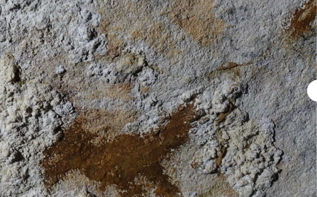 Dört parmaklı bir el çizimi resmi kireç taşının üzerinde hayal meyal görülüyor.