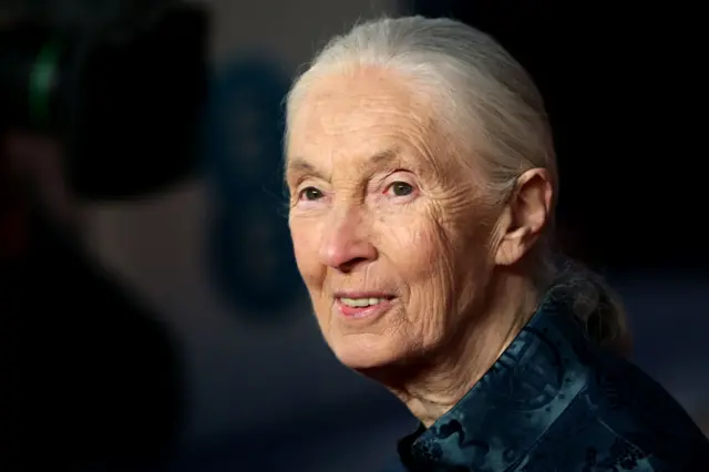 Jane Goodall has long, silver-gray hair tied back and is wearing a dark, patterned garment. The background is dimly lit, with a soft focus that suggests an indoor setting, possibly an event or formal occasion. The lighting highlights the hair and the texture of the clothing.