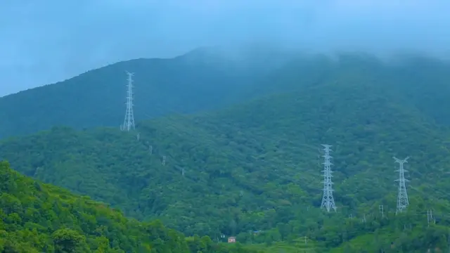 ভারতের উপর দিয়ে নেপাল-বাংলাদেশ ডেডিকেটেড গ্রিড নির্মাণের আগ্রহ আছে বাংলাদেশের
