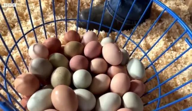 যুক্তরাষ্ট্রে ডিমের দাম সাম্প্রতিক বছরগুলোতে বেড়েছে।