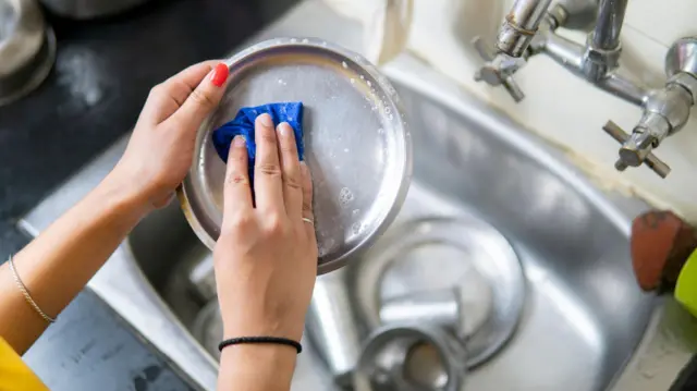 ਘਰੇਲੂ ਸਹਾਇਕ