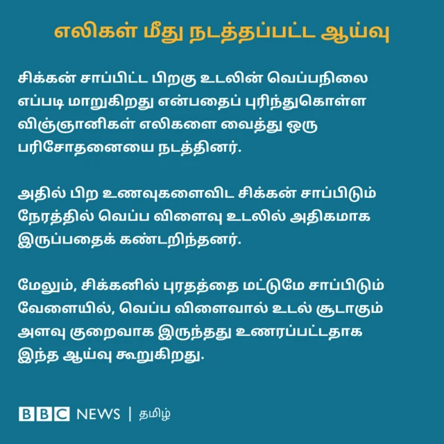 சிக்கன் சாப்பிட்ட பிறகு உடலின் வெப்பநிலை எப்படி மாறுகிறது என்பதைப் புரிந்துகொள்ள விஞ்ஞானிகள் எலிகளை வைத்து ஒரு பரிசோதனையை நடத்தினர்.   அதில் பிற உணவுகளைவிட சிக்கன் சாப்பிடும் நேரத்தில் வெப்ப விளைவு உடலில் அதிகமாக இருப்பதைக் கண்டறிந்தனர்.   மேலும், சிக்கனில் புரதத்தை மட்டுமே சாப்பிடும் வேளையில், வெப்ப விளைவால் உடல் சூடாகும்  அளவு குறைவாக இருந்தது உணரப்பட்டதாக இந்த ஆய்வு கூறுகிறது.
