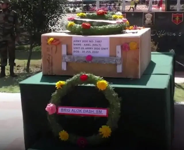 भारतीय सेना, डॉग यूनिट