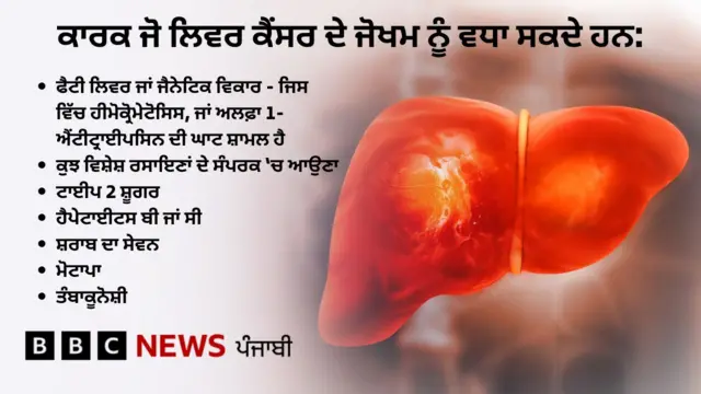 ਲਿਵਰ ਦਾ ਕੈਂਸਰ