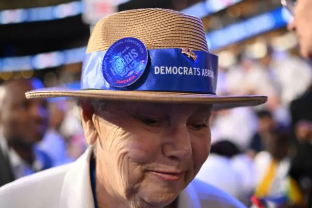 डेमोक्र्याटिक पार्टीको समर्थनमा ह्याट लगाएकी एक अमेरिकी महिला