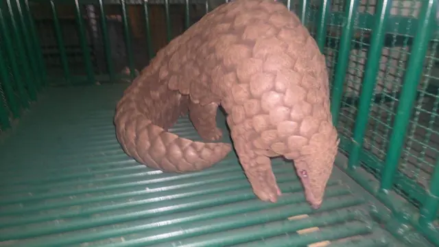 રાજકોટ, બીબીસી ગુજરાતી