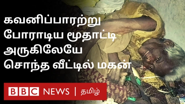 பாட்டி