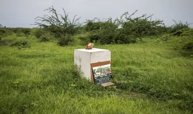 Ibuye fatizo ryashyizweho ubwo uyu mushinga watangizwaga ku mugaragaro mu 2020, ifoto yafashwe mu 2024