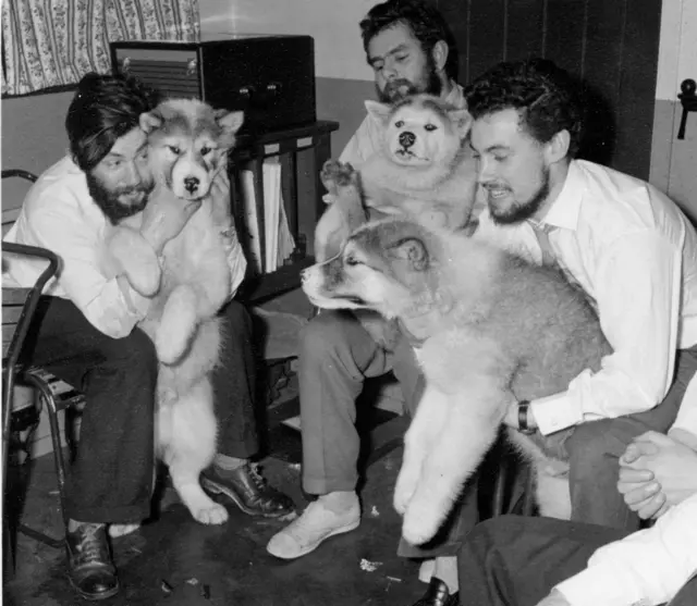 Foto em preta e branco com três homens abraçando três cachorros