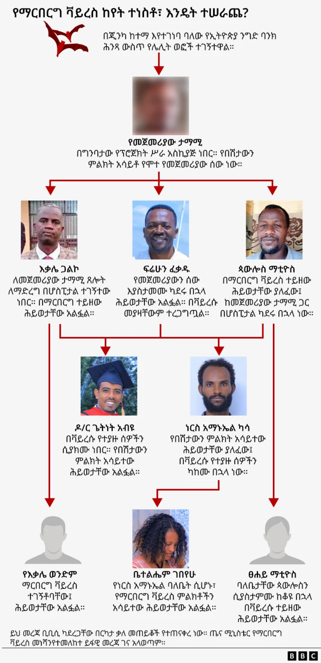 "ማርበርግ ቫይረስ ከየት ተነስቶ፣ እንዴት ተሰራጨ?" የሚል ርዕስ የተጻፈበት ይህ ምስል በሽታው ከየት ተነስቶ እንዴት እንደተስፋፋ ያሳያል