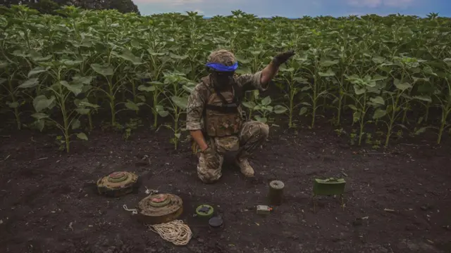 Військовий 35-ої бригади морської піхоти ЗСУ розміновує територію на Донеччині