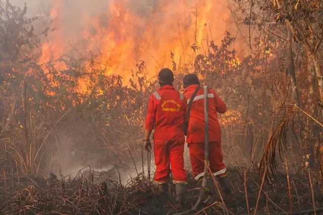 Petugas Manggala Agni Sumatera IV Daops Pekanbaru melakukan pemadaman kebakaran lahan gambut di Desa Rimbo Panjang, Kampar, Riau, 20 Juli 2025.