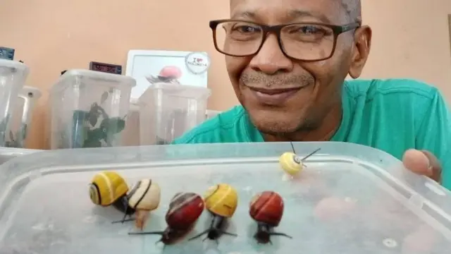 నత్తలు, గవ్వలు, జంతు పరిరక్షణ 