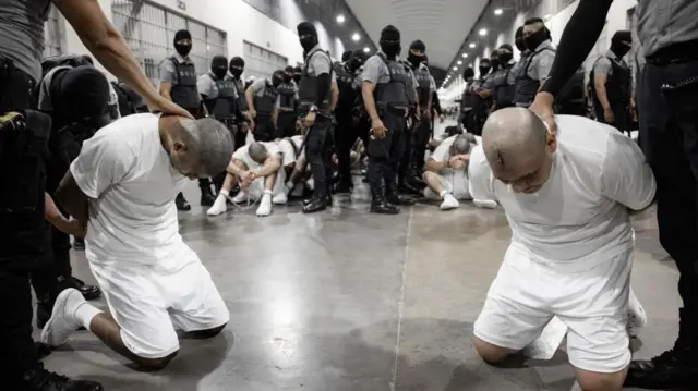 Foto de migrantes deportados por Estados Unidos al Cecot. Los migrantes aparecen hincados y han sido rapados; los guardias los inmovilizan. Están enmascarados.