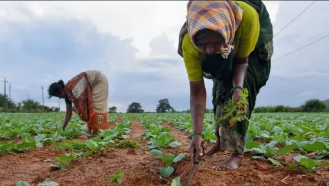 రుణమాఫీ